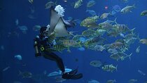Istanbul Aquarium, Wednesday Bazaar & 212 Mall ~ Solo;Group