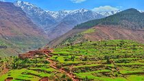 Marrakech: Berber Culture Experience & Atlas Mountains Tour