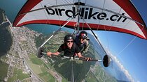 Birdlike Hang Gliding Lucerne