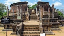 Polonnaruwa Ancient Kingdom and Wild Elephant Safari from Habarana