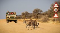 12 Day Classic Namibia Camping Safari