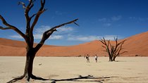 9 Day Etosha, Skeleton Coast and Sossusvlei Camping and Lodge Safari