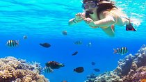 Live this unique snorkeling experience. El Cielo in Cozumel a magical tour.