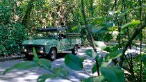 Rio DE Janeiro Jeep Tour : Tijuca Forest