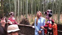 Private Full-Day Walking Tour of Kyoto