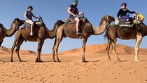 Marrakech Experience: PalmGrove Camel Ride Excursion