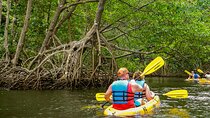 Private Kayaking Nature Tour of Los Haitises National Park