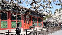 Private Walking Day Tour: Summer Palace, Heaven Temple & Hutong