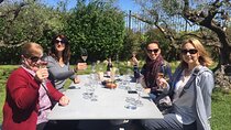 Penedes and Cava Winery Small Group Tour
