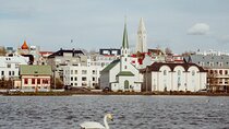 Explore Reykjavik in 60 minutes with a Local