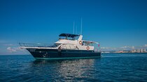 4 Hours Private Charter - 57' Bertram Yacht