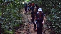 Bird watching and trekking in Kitulgala