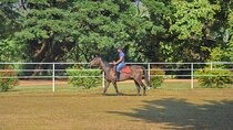 Horse Riding for Beginners from Negombo