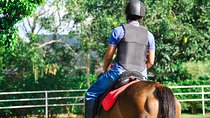 Horse Riding for Professionals from Negombo