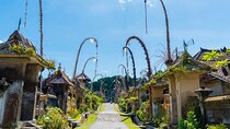 Private Experience: Bali Village Tour