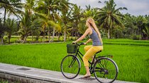 Half-Day Ubud Rice Field and Village Cycling Tour