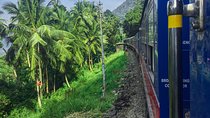 Highlights of Sri Lanka by Train (12)