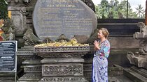 Ubud Tour : Monkey forest, Rice terrace, Water temple, Waterfall & Jungle Swing