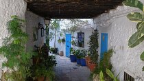 Private walking tour around the Old Town of Frigiliana