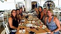 Santorini Wine and Food Experience with pick up included