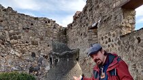 Pompeii to Vesuvius Tour with Skip-the-Line Tickets to Ruins & Volcanic Crater
