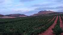 Rioja Wine Country Day Trip