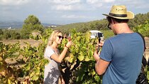 Private wine tasting & E-bike Barcelona's coastline Small Group tour