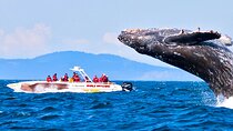 Whale Watching from Koggala on Shared Boat