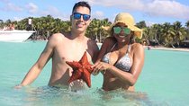 Saona Island Day Trip and Cruise from Punta Cana 