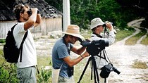 Birdwatching in Sian Ka´an Muyil from Tulum - Shared Group Tour