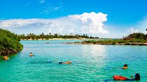 Riviera Maya Snorkeling Adventure: Lagoon, Cenotes Open & Cavern