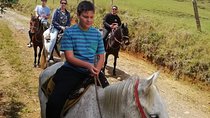 Best Horseback Adventure from Medellin