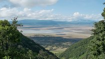 6-day Lake Manyara Serengeti Ngorongoro Crater and Tarangire