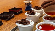 Ceylon Tea Tasting from Nuwara Eliya