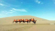 Silk Road 14-Day Muslim Tour from Beijing to Xinjiang, Dunhuang, Xian & Shanghai