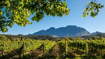 Private Full Day Cape Winelands Tour