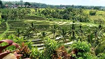 Tanah Lot and Jatiluwih Unesco Rice Terrace Private Tour