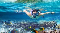 Nusa Lembongan Island: Snorkeling & Mangrove Forest Day Tour