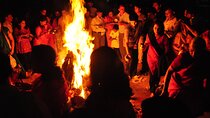 Holi Festival Tour