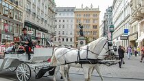 Private Tour of Vienna - Sightseeing, Food & Culture with a local