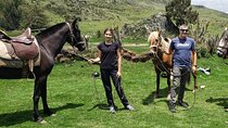 Private Horseback Riding Tour around Sacsayhuaman