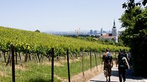 Private Day Trip to The Village of Grinzing from Vienna with a local