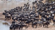 Great Migration safari