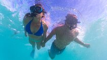 6-Day Coral Coaster from Perth to Exmouth One-Way via Monkey Mia Ningaloo Reef