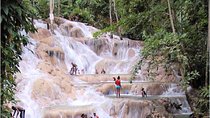 Montego Bay to Dunn's River Falls Half-Day Trip