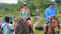 Horseback Riding from Montego Bay