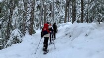 Whistler Lost Lake Snowshoeing and Village Tour