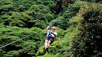 Day Trip from San Jose to Braulio Carrillo Canopy Tour