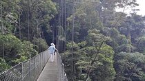Hanging Bridges Nature History Private Walking Tour