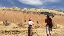 Altyn Emel, Singing Dune, Charyn canyon, Kolsay, Kaindy lake 4 days tour 